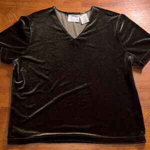 Velvet V-Neck Green Moss Short Sleeve Top